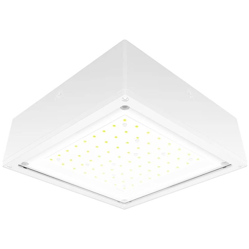 Vandalproof Canopy 40W Warm LED Flat Lens White P92443