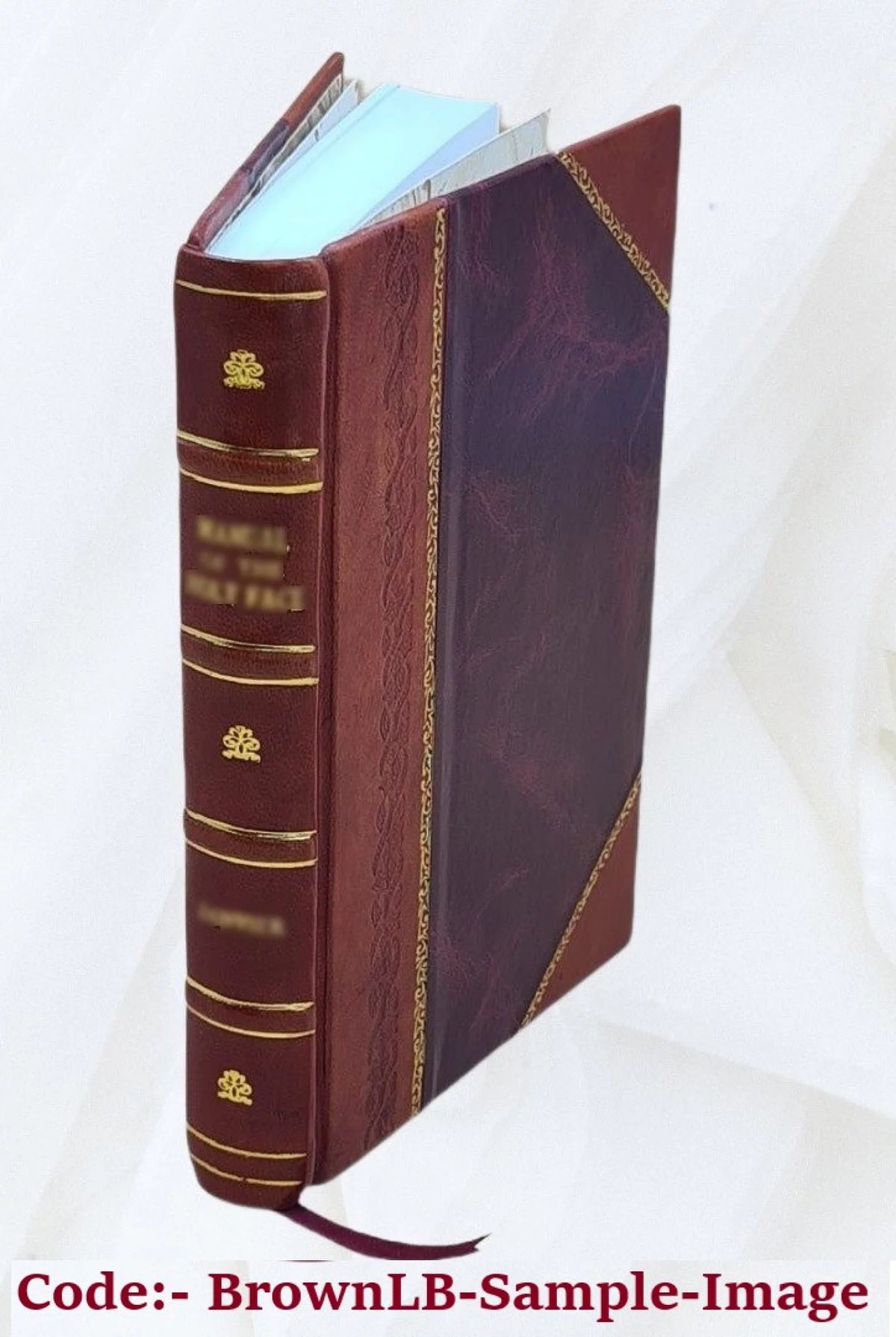 General Pathology Handbook E303