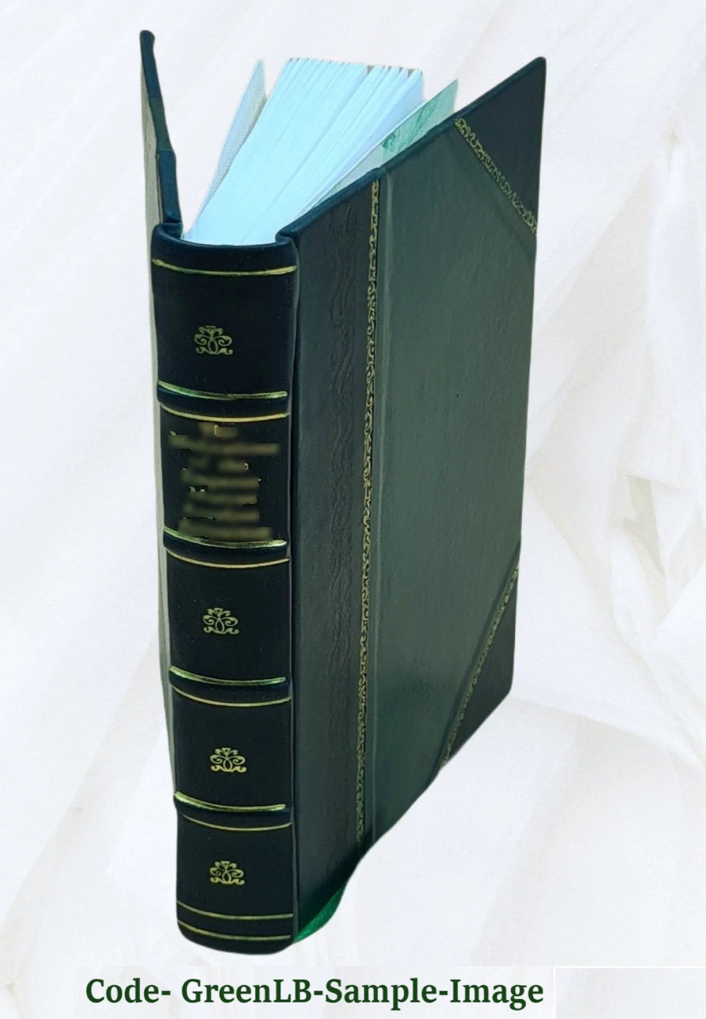 General Pathology Handbook E303