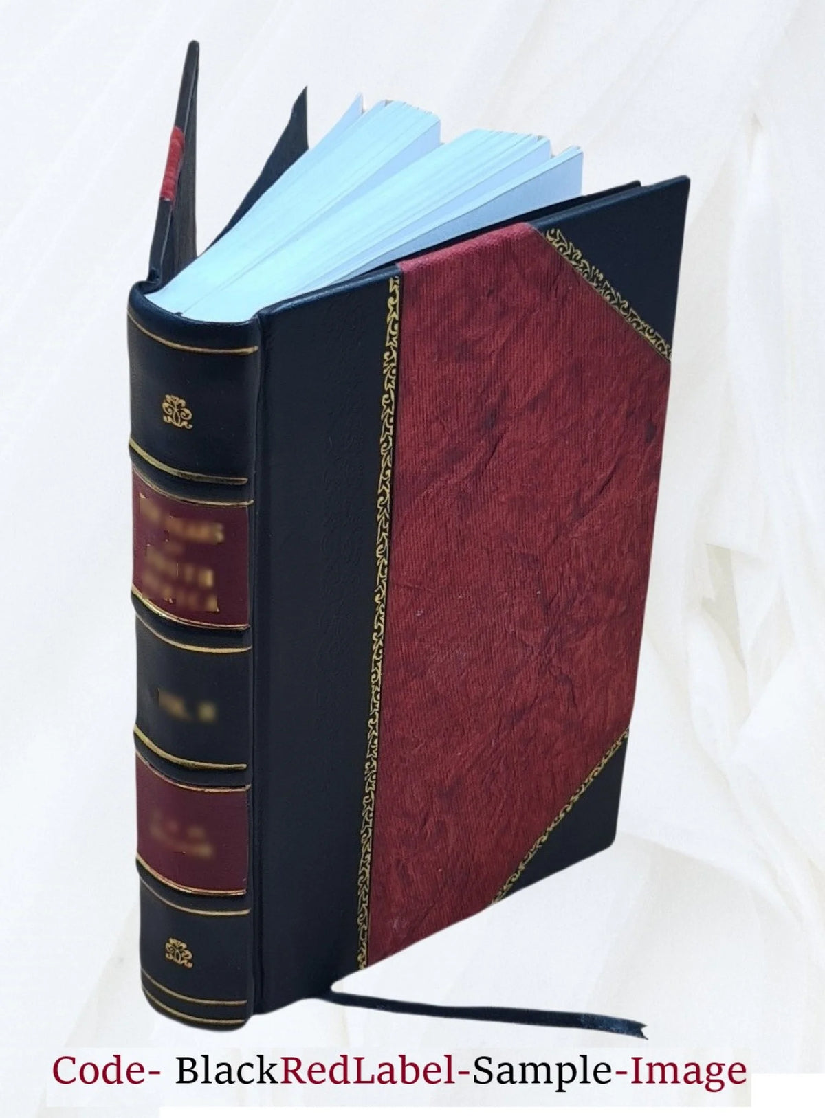 General Pathology Handbook E303